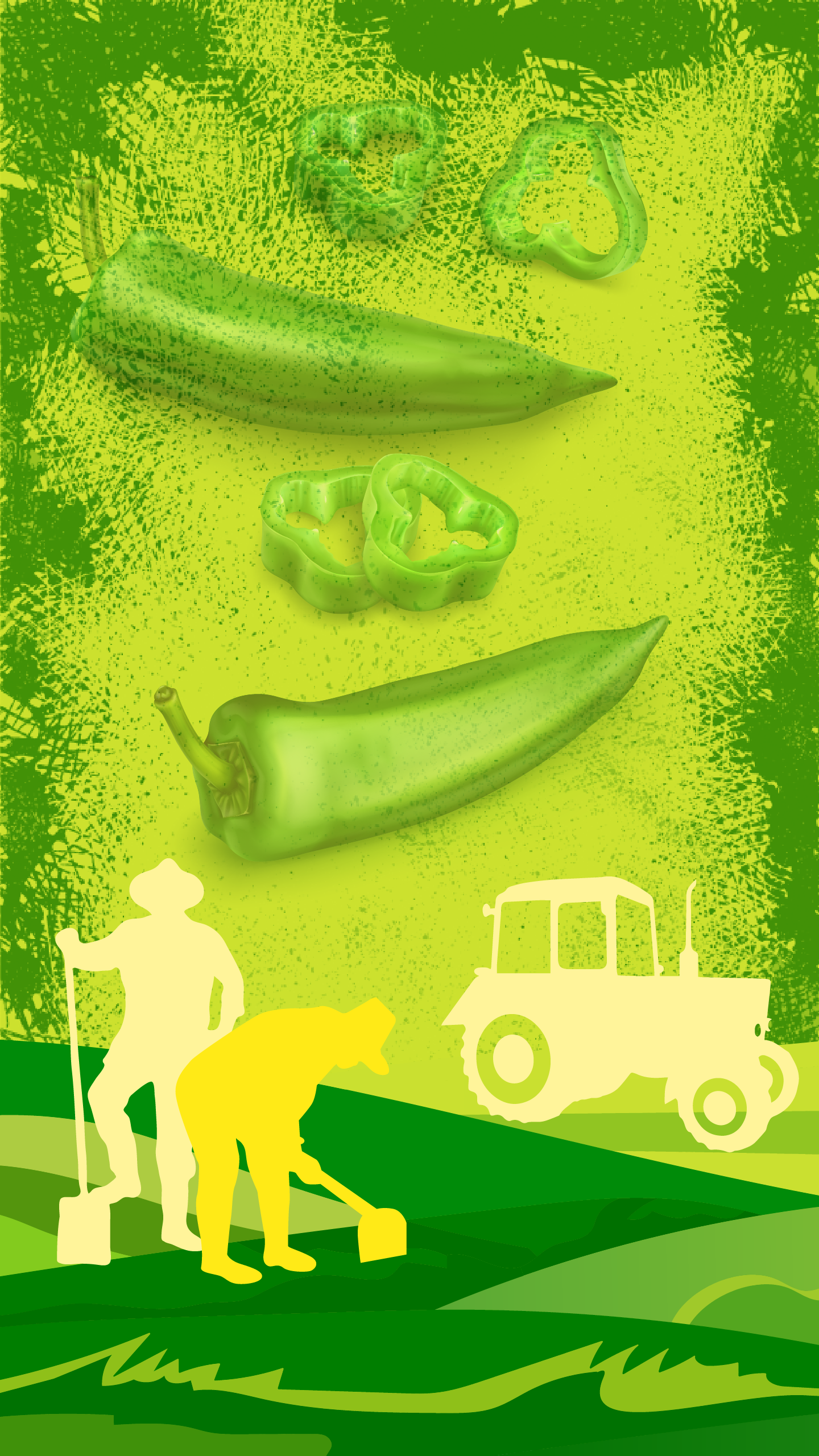 A Martinkó Manufaktúra arculata: jalapeño paprikák, szántóföld, traktor és gazdák